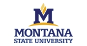 Montanna State University