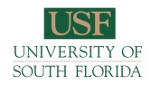 University of South Florida